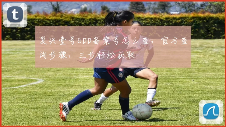 复兴壹号app备案号怎么查，官方查询步骤，三步轻松获取
