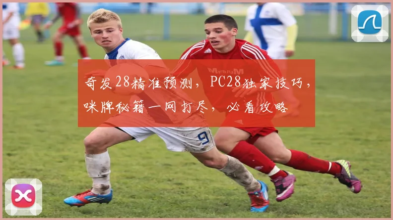 奇发28精准预测，PC28独家技巧，咪牌秘籍一网打尽，必看攻略