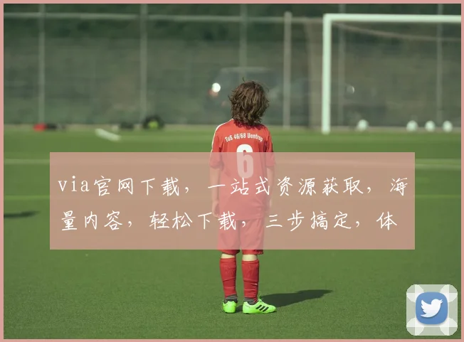 via官网下载，一站式资源获取，海量内容，轻松下载，三步搞定，体验非凡