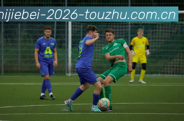 世界杯2026投注平台生态图